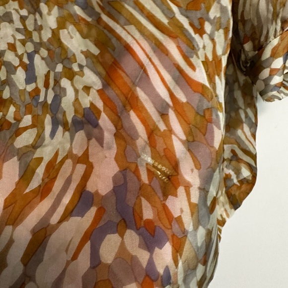 Walter sheer blouse - Picture 5 of 6